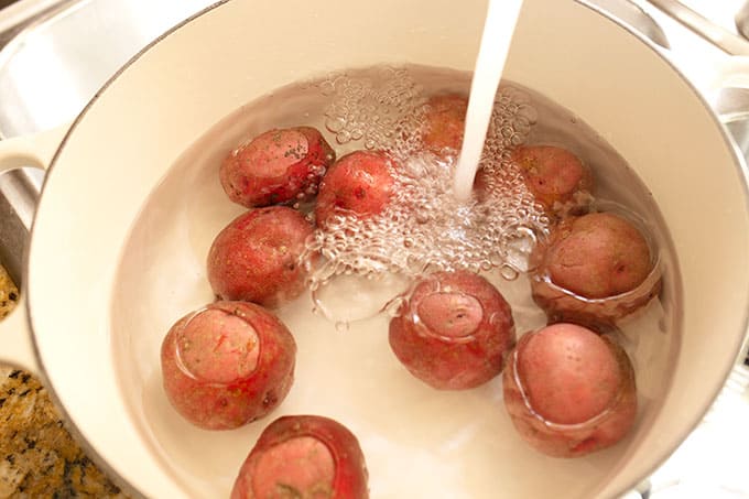 Small red potatoes in a large pot being filled with water