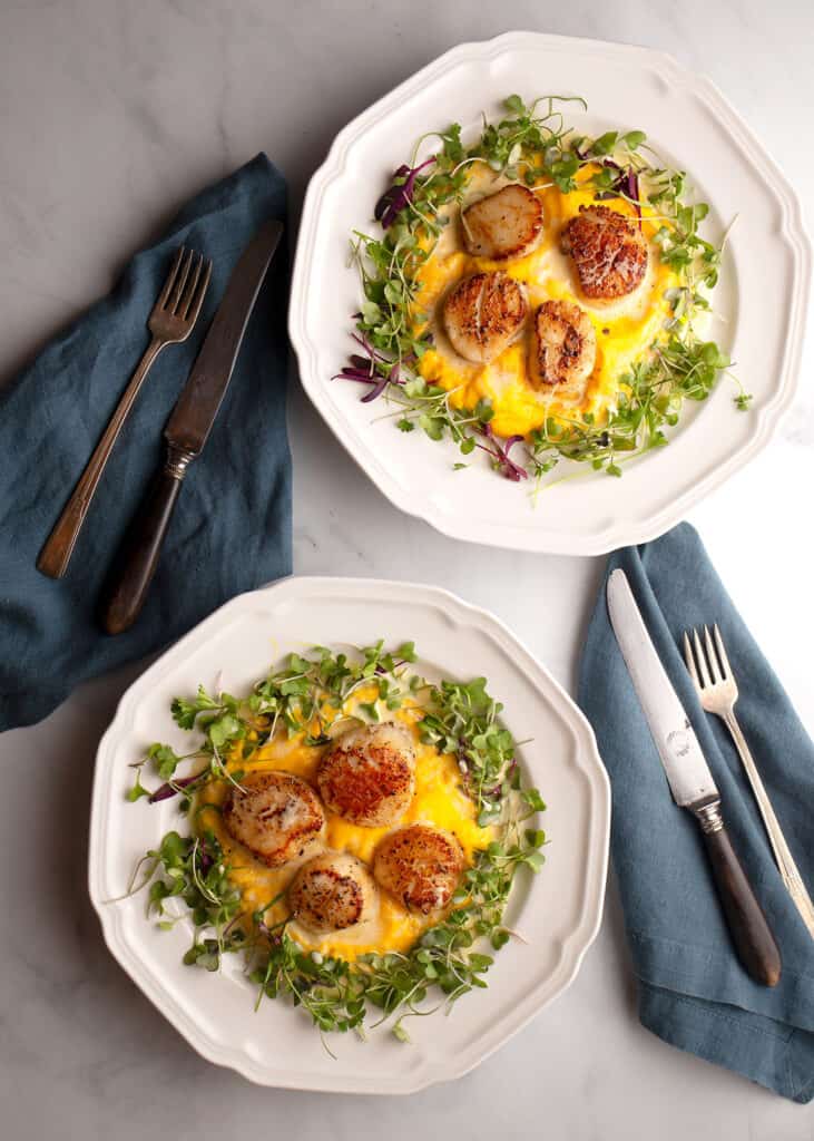 Two plates of Scallops with Butternut Squash Puree