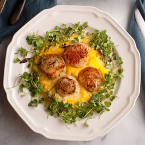Square image of Scallops with Butternut Squash Puree