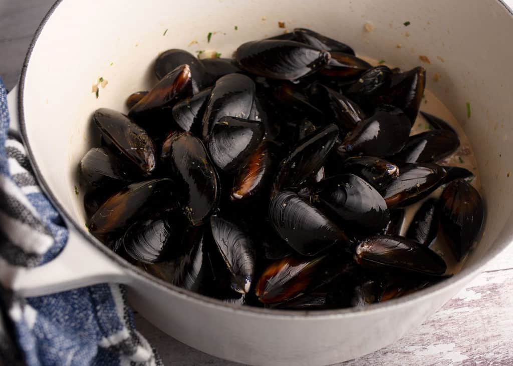 Mussels add to the pot to cook