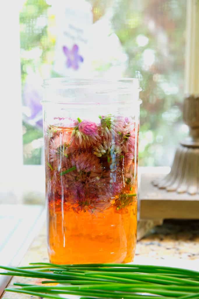 Jar filled with chive blossoms and vinegar