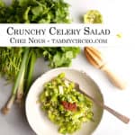 PIN for Pinterest - Crunchy Celery Salad