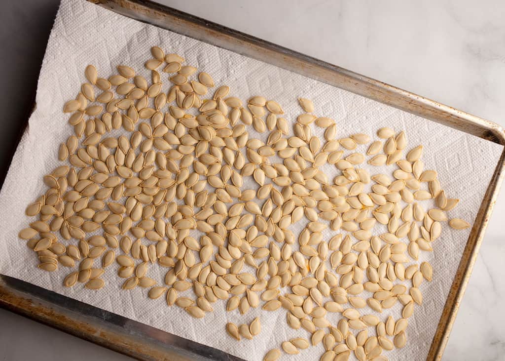 Seeds drying on paper towels